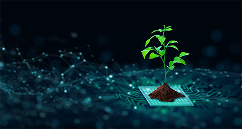 Green computing - holistic strategies 